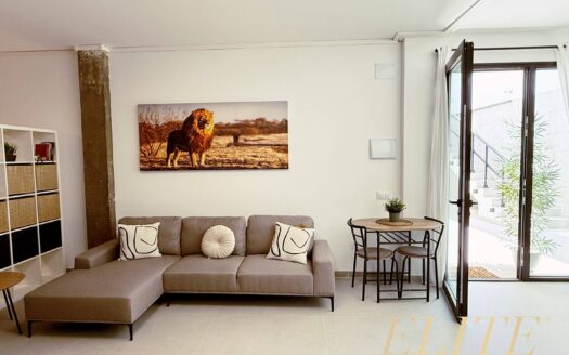 Estudio en Maspalomas-Meloneras